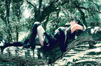 a woman is laying on a tree branch