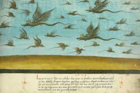 a painting of birds flying over a manuscript