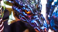 a close up of a blue and black dragon