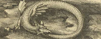 a black and white drawing of a dragon